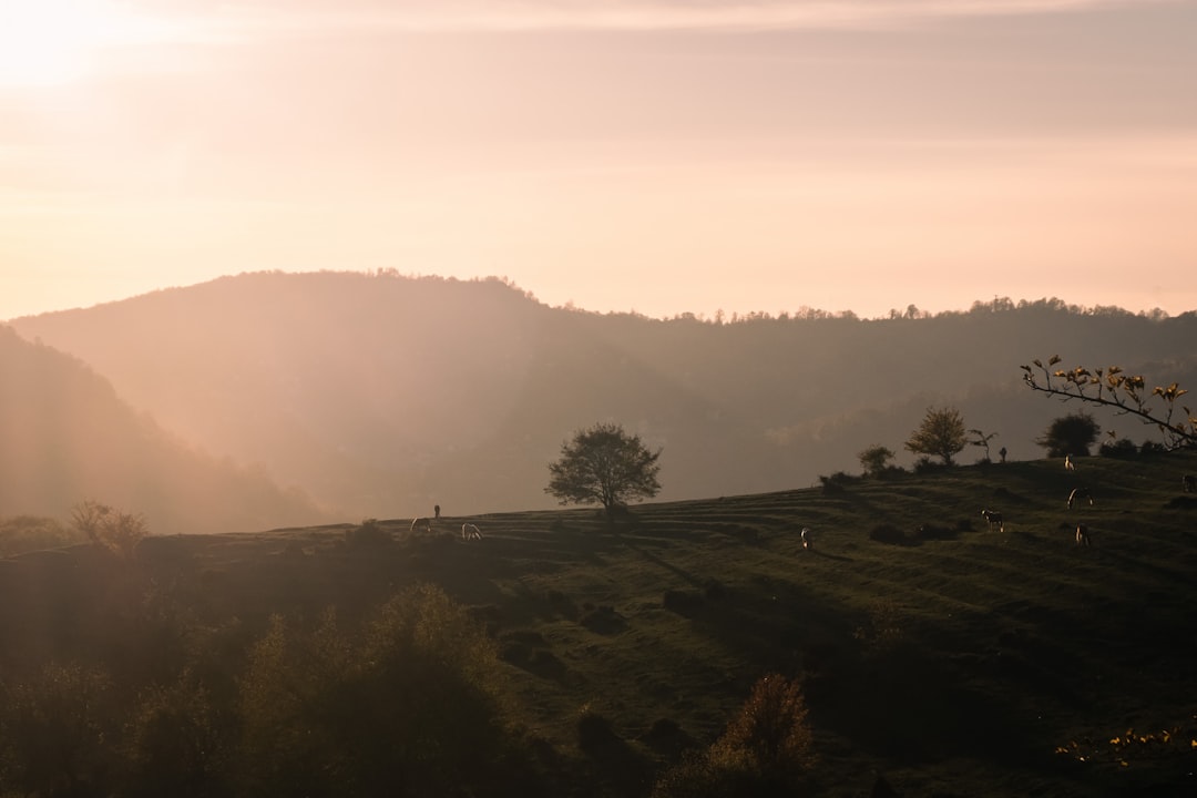 The Thrill of Exploring the Great Outdoors: A Guide to Unforgettable Travel Adventures